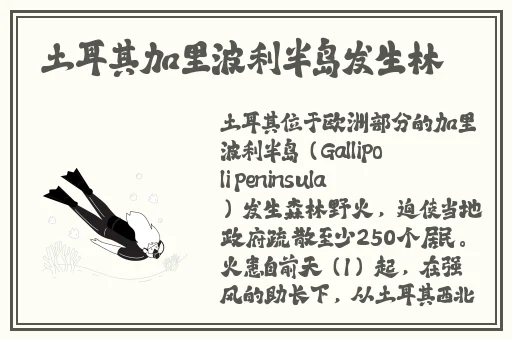 秘书你的兔子好软水好多作文